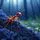 Forgotten Fire Ant