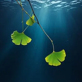 Ginkgo Leaves