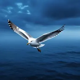Glimmering Seagull