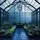 Greenhouse