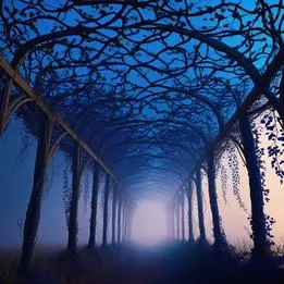 Hanging Grapevine