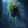 Hanging Plant