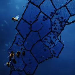 Honeycomb