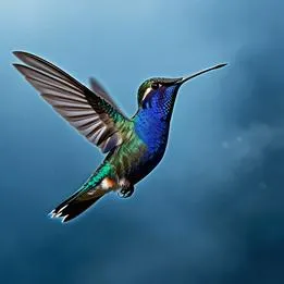 Hummingbird Flight