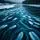 Icy River Currents