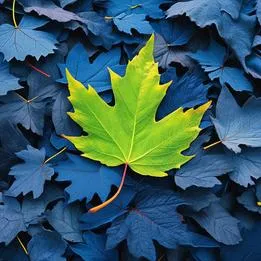 Leaf Pile