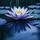 Mirrored Water Lily