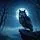 Night Owl's Call
