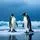 Penguin Ice