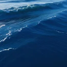 Periwinkle Wave