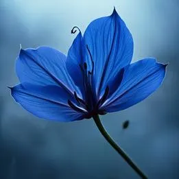 Petal Whisper