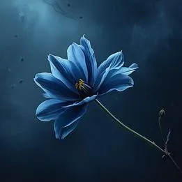 Petal