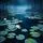 Pond Lilies
