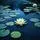 Pond Lily