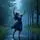 Rain Dance