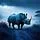 Rhino Charge