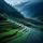 Rice Paddies