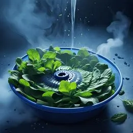 Salad Spinner