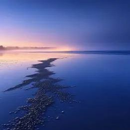 Sandy Shore