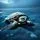 Sea Turtle