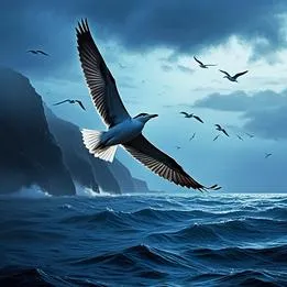 Seabird Blessing