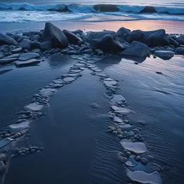 Seashore