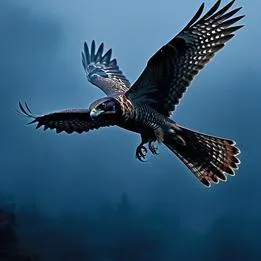 Secretive Nighthawk