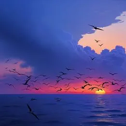 Sunset Tern
