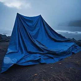 Tarp
