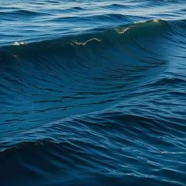 Waves of Change