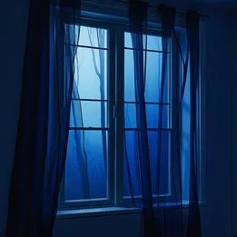 Window Shade